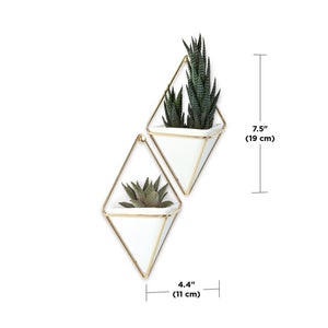 VASO Parete TRIGG SMALL WALL DISPLAY coppia