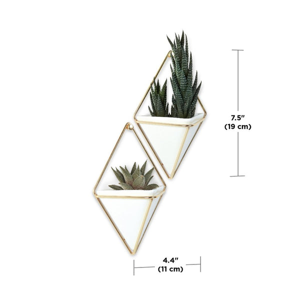 VASO Parete TRIGG SMALL WALL DISPLAY coppia