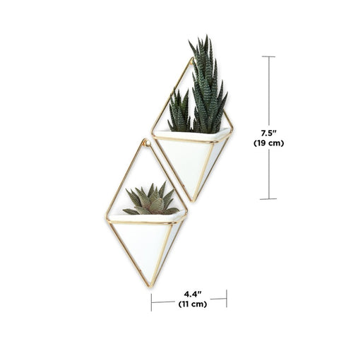 VASO Parete TRIGG SMALL WALL DISPLAY coppia